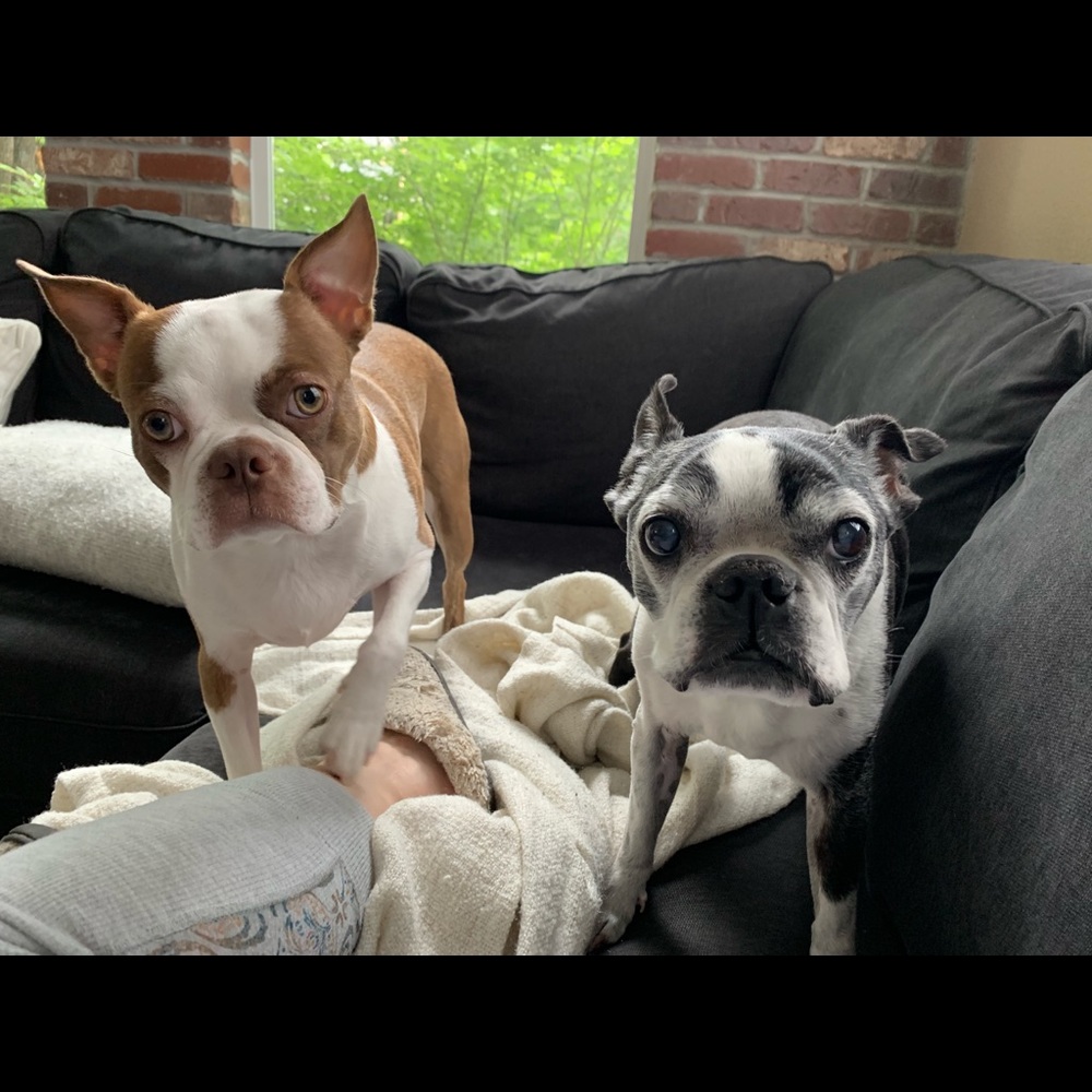 Meet your Posher, Heather